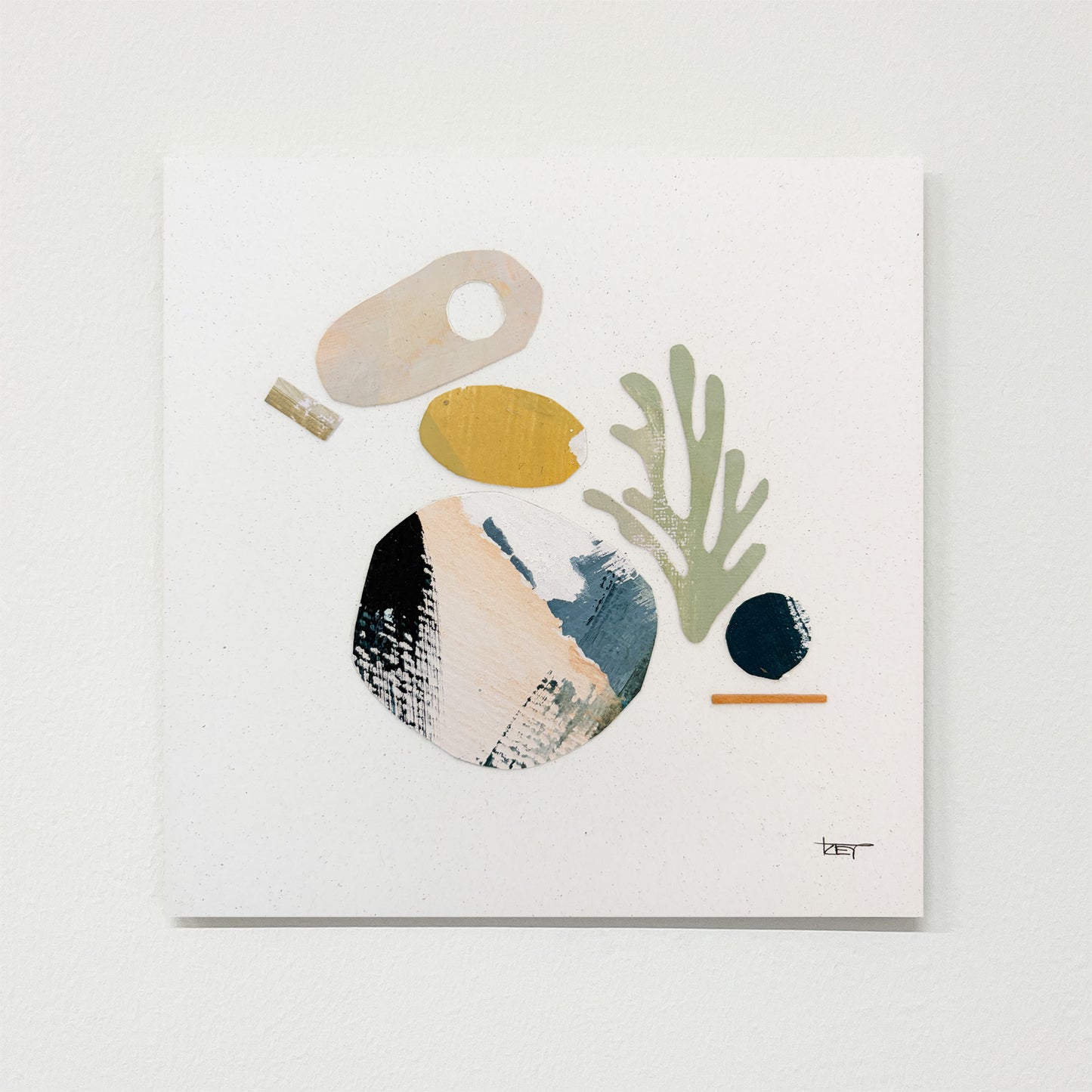 Wrack Collage 001